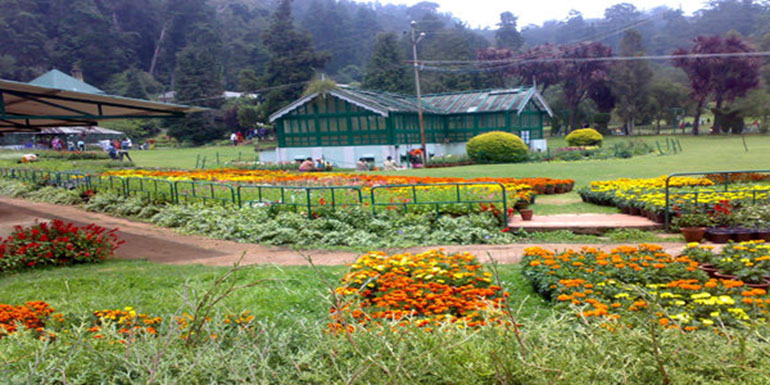 Ooty_botanical_gardenLarge.jpg