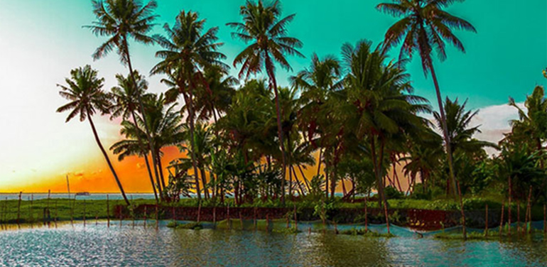 cochin.jpg