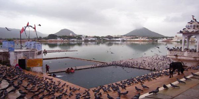pushkar1Large7.jpg